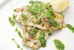 Herb Crusted Roughy (FD)