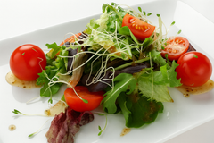 Baby Green & Tomato Salad (FDSAL)